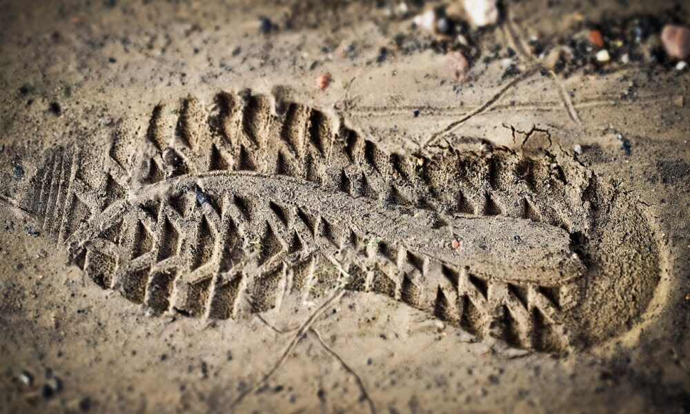 Green Browser: Browse Sustainably & Reduce Your Footprint