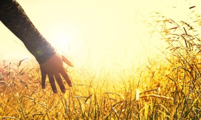 Arm AI Edge: Future Tech & Powerful Processing