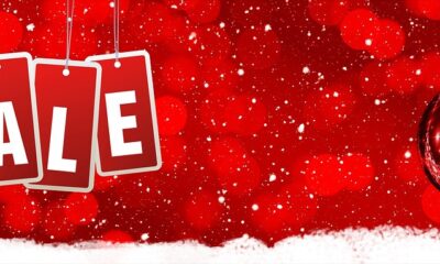 Domain Sales: 10 End-User Purchases Revealed