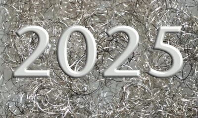 2025 in Review: Domain business acquisitions