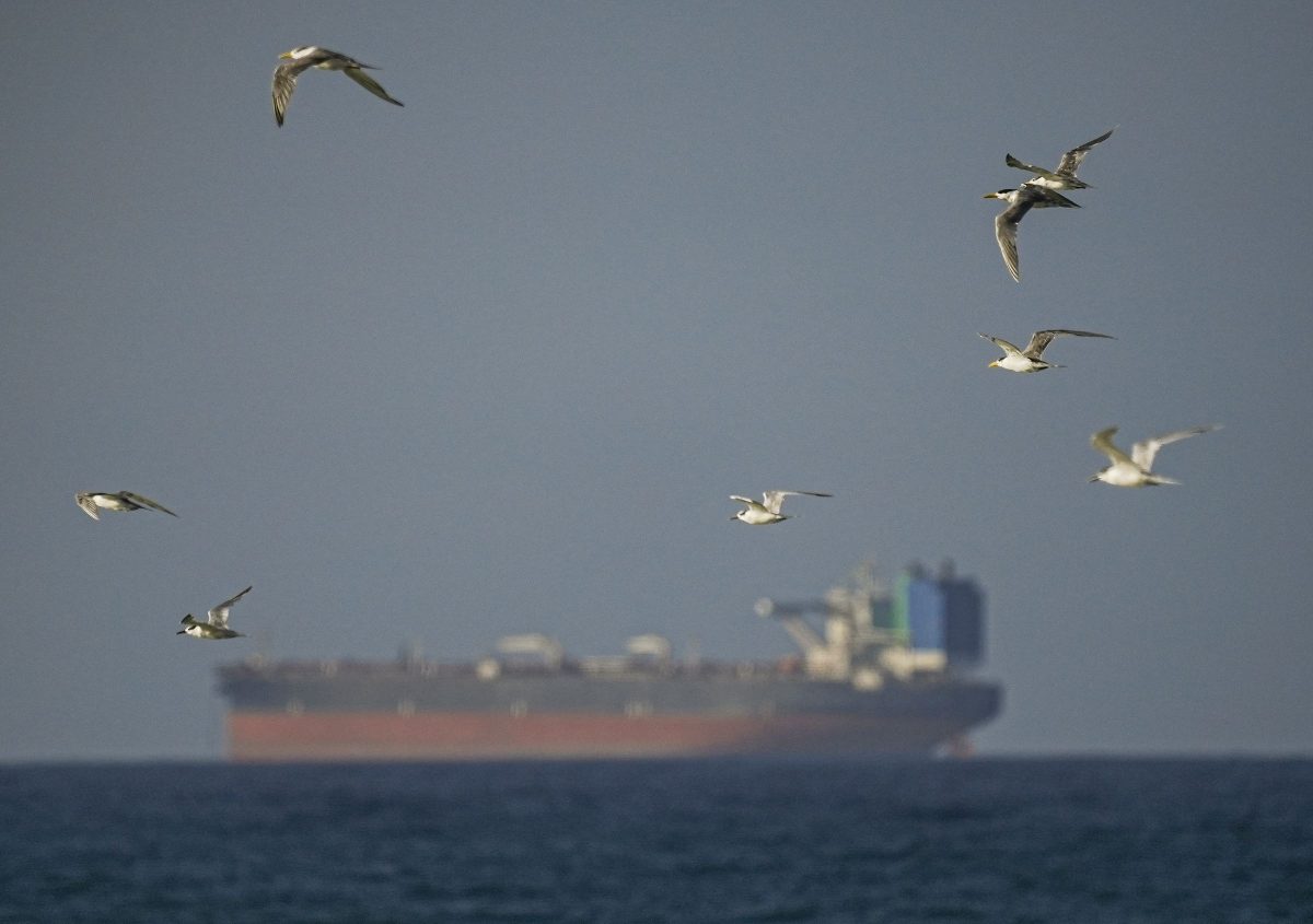 Analysts Track Spoofed Tankers in the Strait of Hormuz as Maritime Deception Rises