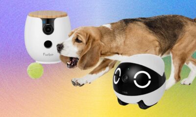 Top Pet Monitoring Cameras for 2026: A Review of Leading Models