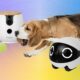 Top Pet Monitoring Cameras for 2026: A Review of Leading Models