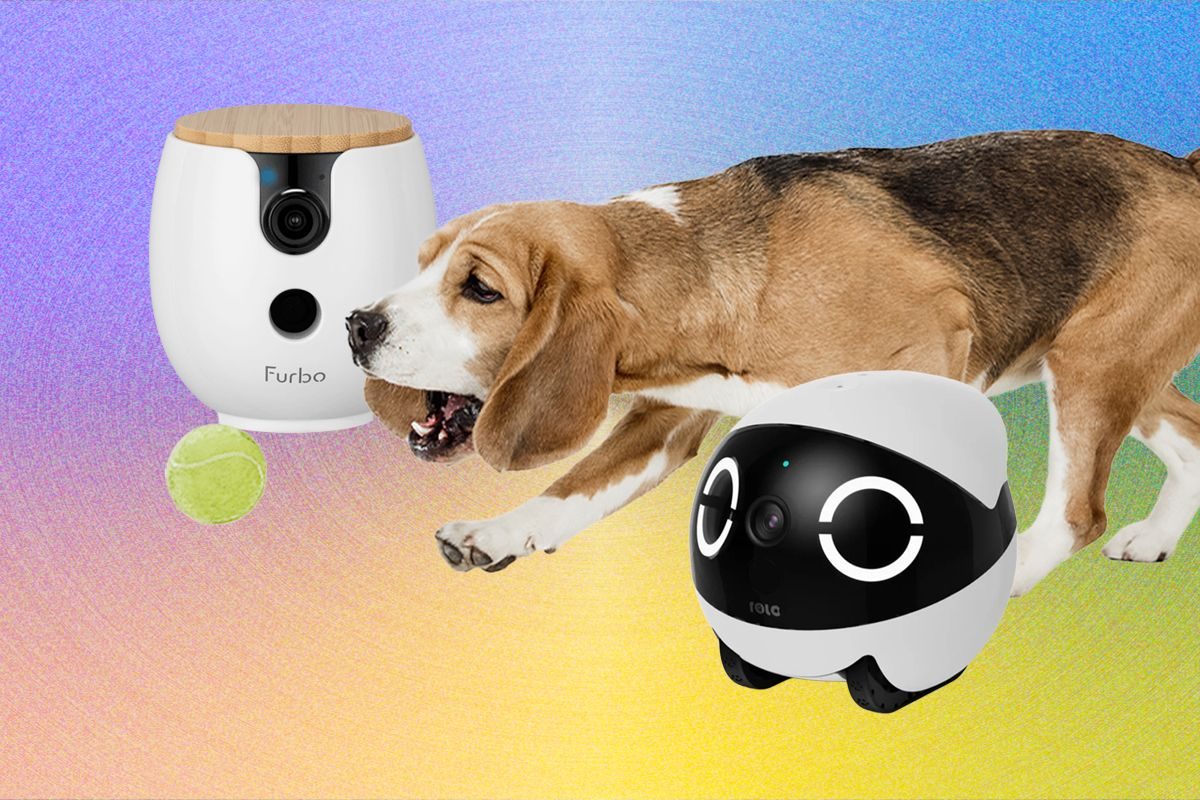 Top Pet Monitoring Cameras for 2026: A Review of Leading Models