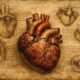 Leonardo Da Vinci’s 500-Year-Old Heart Sketches Help Modern Scientists Decode Disease Risk