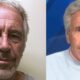 Controversial Jeffrey Epstein Lookalike ‘Palm Beach Pete’ Draws Outrage Over Remarks on Children and Fame