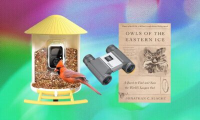 Evaluating Gift Options for Avian Enthusiasts: A Content Editor’s Perspective