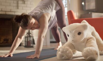 Roomba Creator Introduces a Companion Robot Designed for Emotional Connection Over Utility