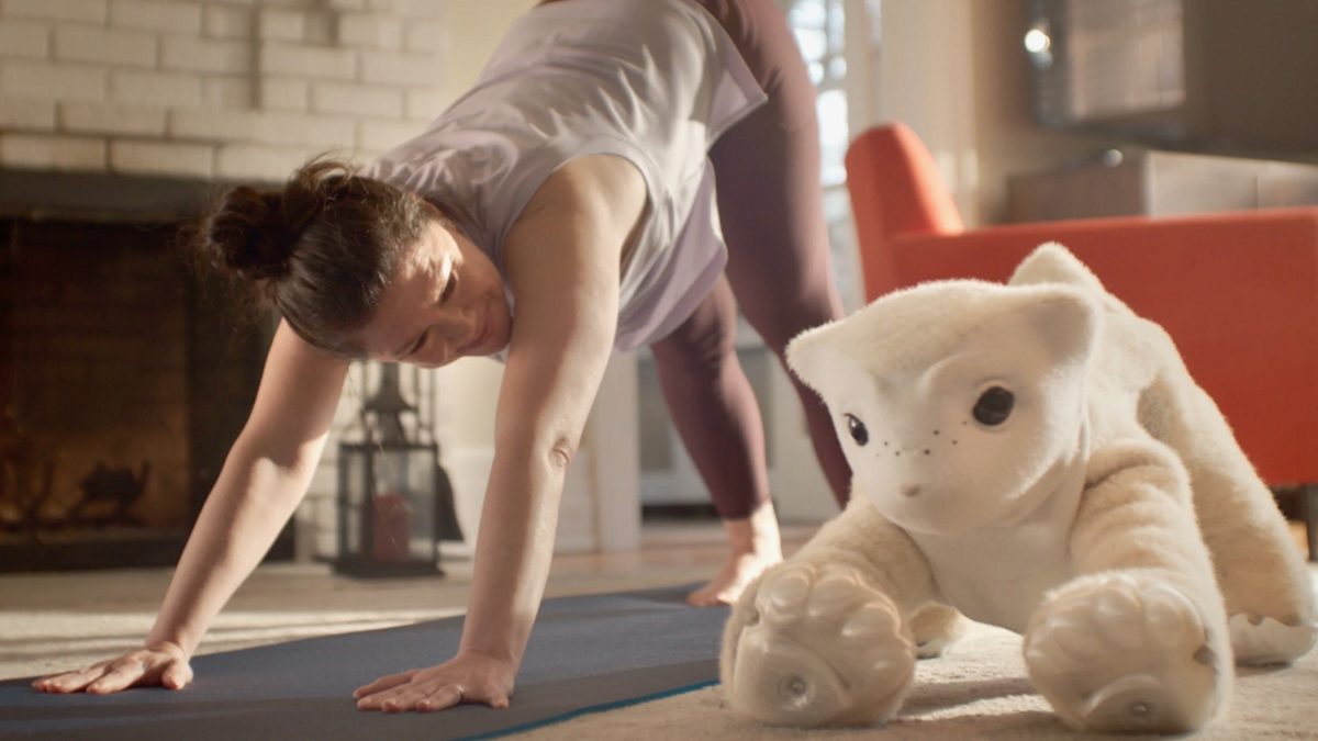 Roomba Creator Introduces a Companion Robot Designed for Emotional Connection Over Utility