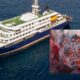 Hantavirus Outbreak on Cruise Ship Raises Global Questions: What It Means for the UAE