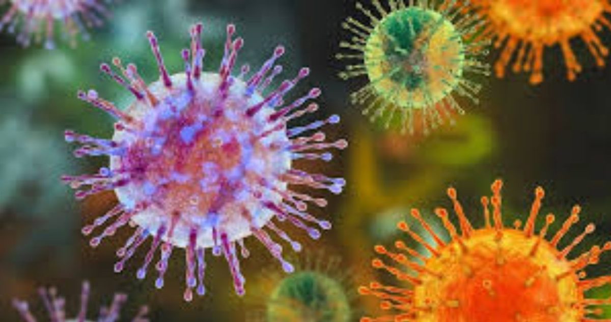 How Did the Hantavirus Outbreak Begin? Tracing the Origins of the Virus