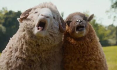 The Sheep Detectives Ending Explained: How the Killer Reveal Unfolds