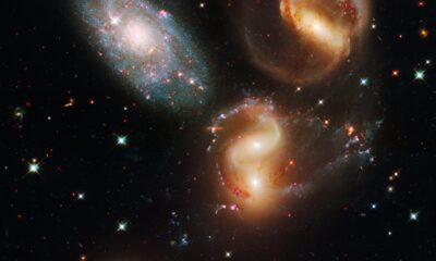 Cosmic Voids May Hold Key to Universe’s Greatest Mysteries