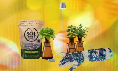 19 Gifts for Plant Lovers and Gardeners (2026): From Smart Tools to Unique Planters