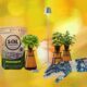 19 Gifts for Plant Lovers and Gardeners (2026): From Smart Tools to Unique Planters