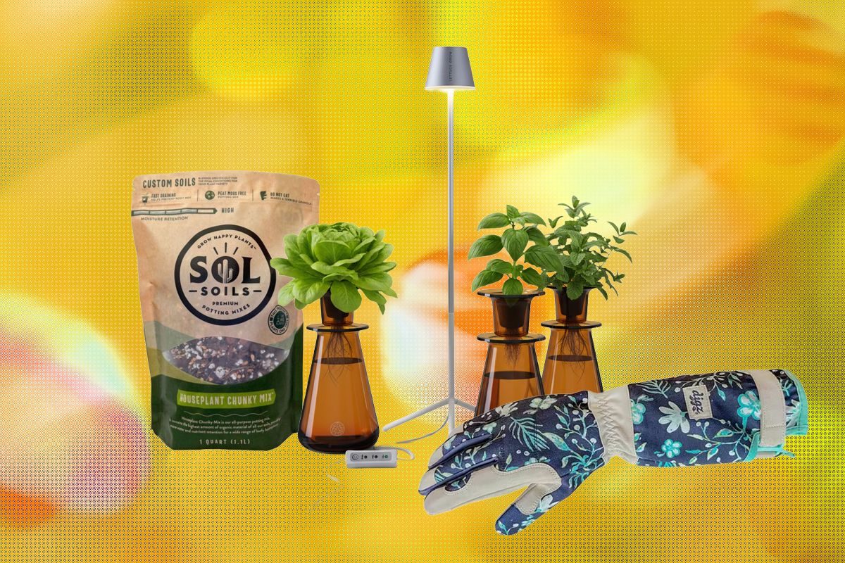 19 Gifts for Plant Lovers and Gardeners (2026): From Smart Tools to Unique Planters