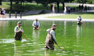 Algae Bloom in Reflecting Pool Follows Trump-Era Renovation, Park Service Responds Ahead of July 4