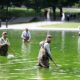 Algae Bloom in Reflecting Pool Follows Trump-Era Renovation, Park Service Responds Ahead of July 4