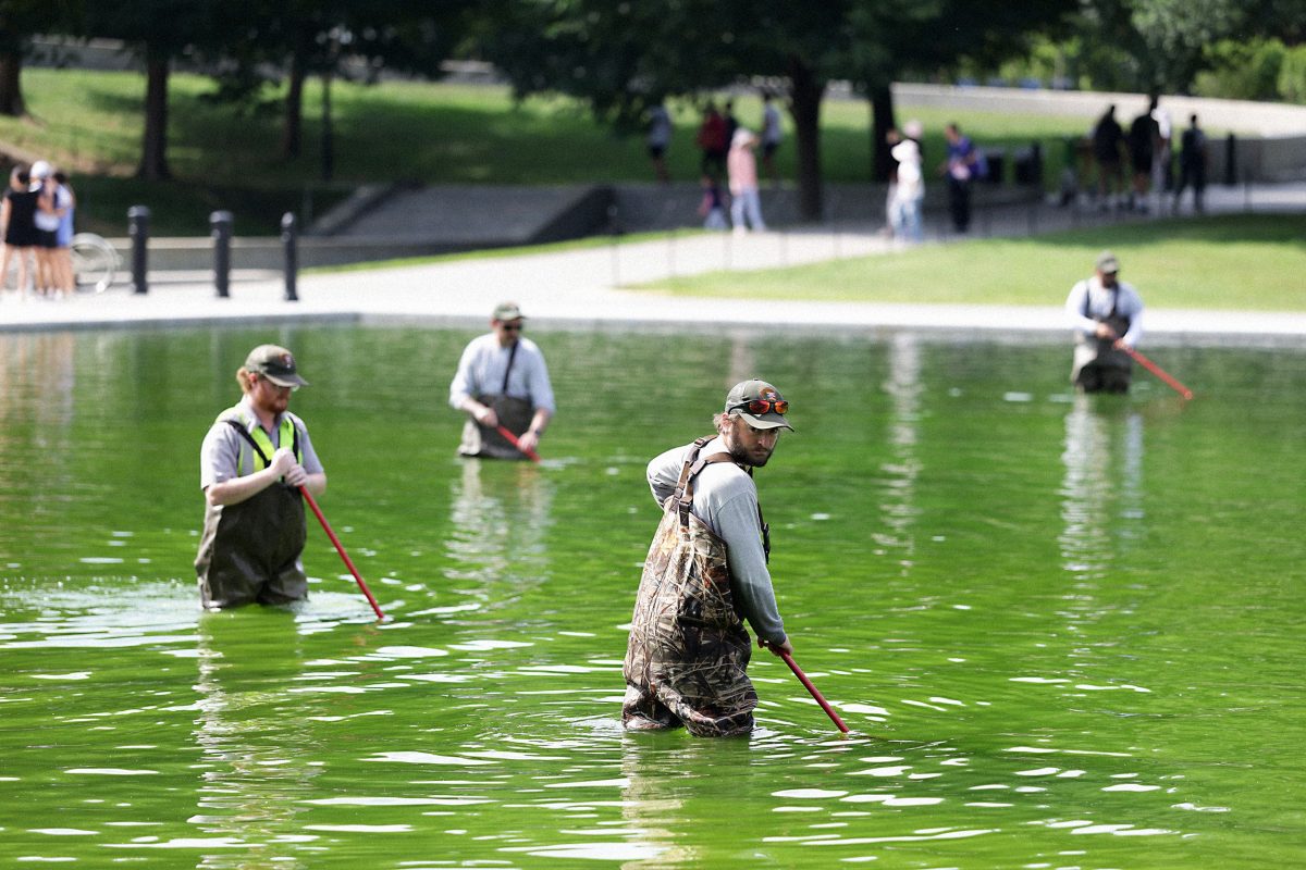Algae Bloom in Reflecting Pool Follows Trump-Era Renovation, Park Service Responds Ahead of July 4