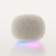 Google Debuts Gemini Powered Smart Speaker Six Years After Last Model