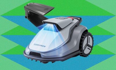 Robot Lawn Mowers in 2026: TerraMow and Mammotion Lead the Market