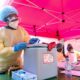 A 15 Year Old Ebola Vaccine Shows Promise for Current Outbreak in Congo